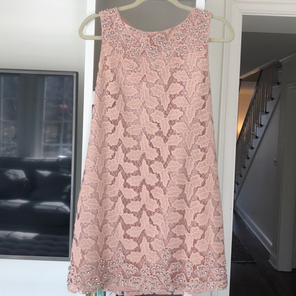 Alice and Olivia blush dress